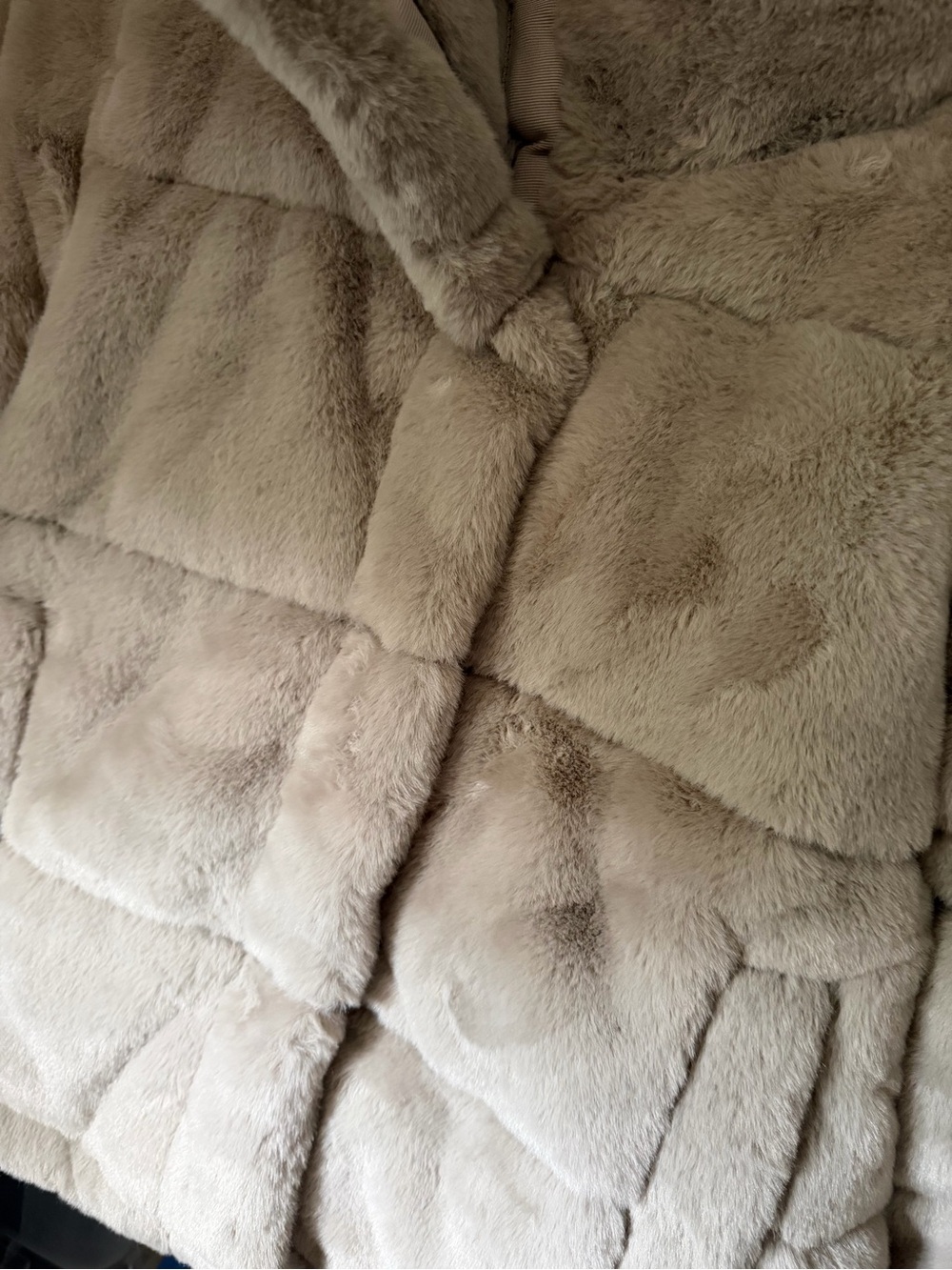 Abercrombie & Fitch Plush Teddy Jacket in Light Gray - Picture 4 of 6